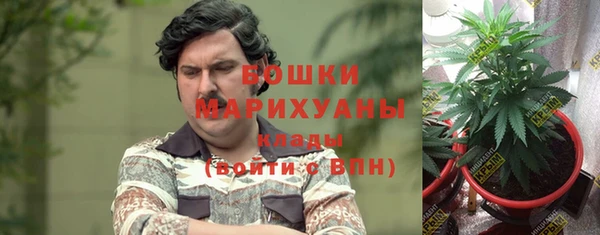 a pvp Аркадак