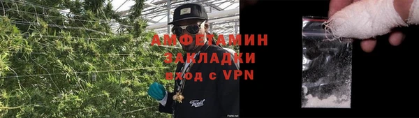 a pvp Аркадак