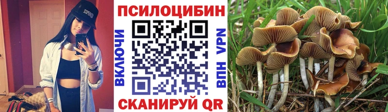Псилоцибиновые грибы прущие грибы  Суджа 